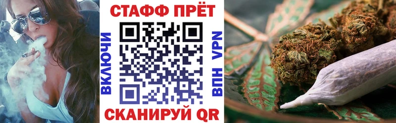 МЕФ Сегежа
