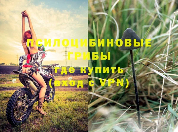гашик Балахна