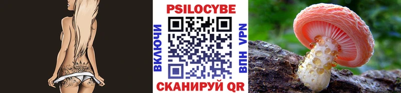 Псилоцибиновые грибы Psilocybe  Сегежа 